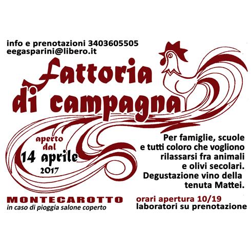 fattoria di campagna