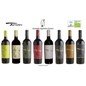 Geraci Societa Semplice