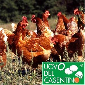 Le Pescine