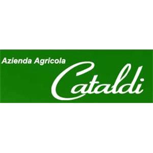 Cataldi