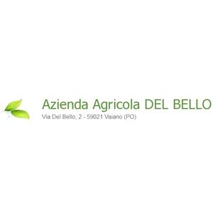 Del Bello