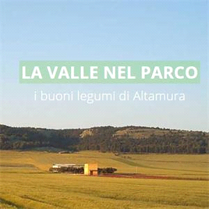 Cifarelli Pietro