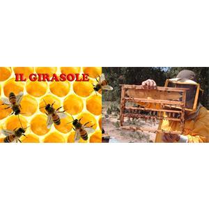 Societa Agricola Il Girasole