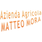 Apicoltura Mora Di Mora Matteo