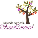 San Lorenzo