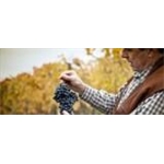 Cantina Di Carpi E Sorbara Sac