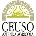 Ceuso S.R.L.