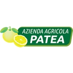 Patea Carmela
