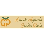 Gambini Paolo - Pesaro (Pu)