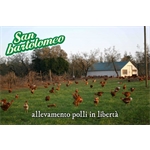 San Bartolomeo Soc.Coop.Agricola