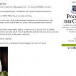 Offida Pecorino Poderi dei Colli…….un vino di tendenza