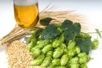 Festival della Birra agricola 2011