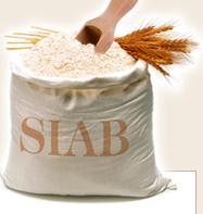 Siab 2013