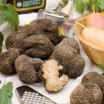 Ottimo prezzo del tartufo con la raccolta 2013 Tartufo