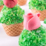 Al via la prima Gelato Pastry University nel Mondo Gelato Pastry University