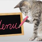 Laboratorio di cucina per gatti e cani Laboratorio di cucina per gatti e cani