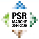 Fondi PSR aree cratere